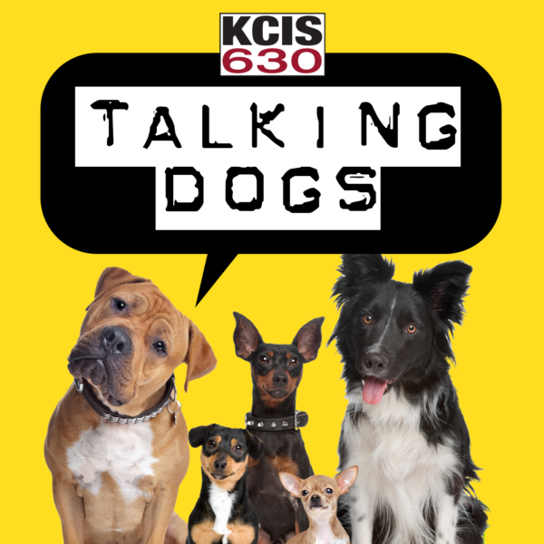 Talking Dogs by the Canine Behavior Center