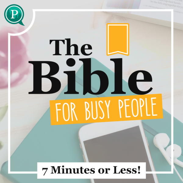 The Bible for Busy People - 7 Minutes or Less!